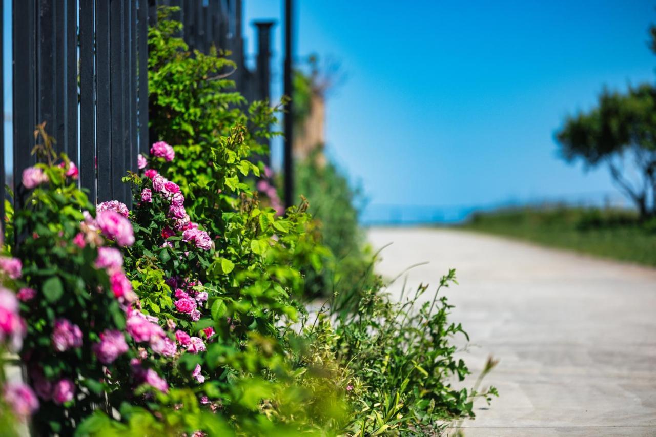 Voya Beach Resort Sveti Vlas Exterior photo A rose garden in the village